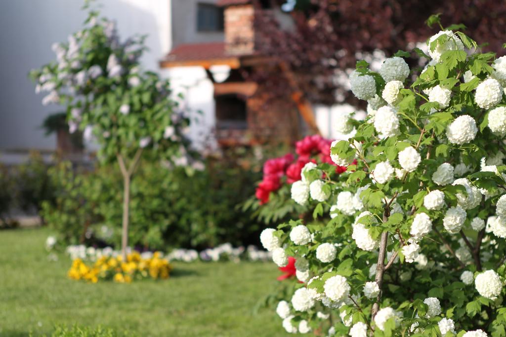 Casa Jasmine Hotel Brasov Exterior photo